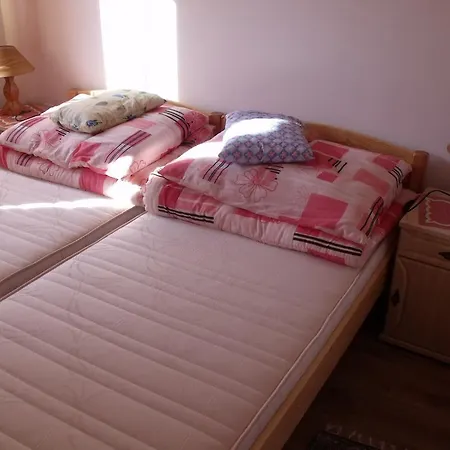 Nyaraló Tündérviola *